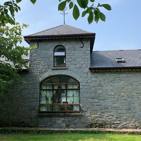 Cut Limestone Apartment Riverside Lodge Carlow Exterior foto